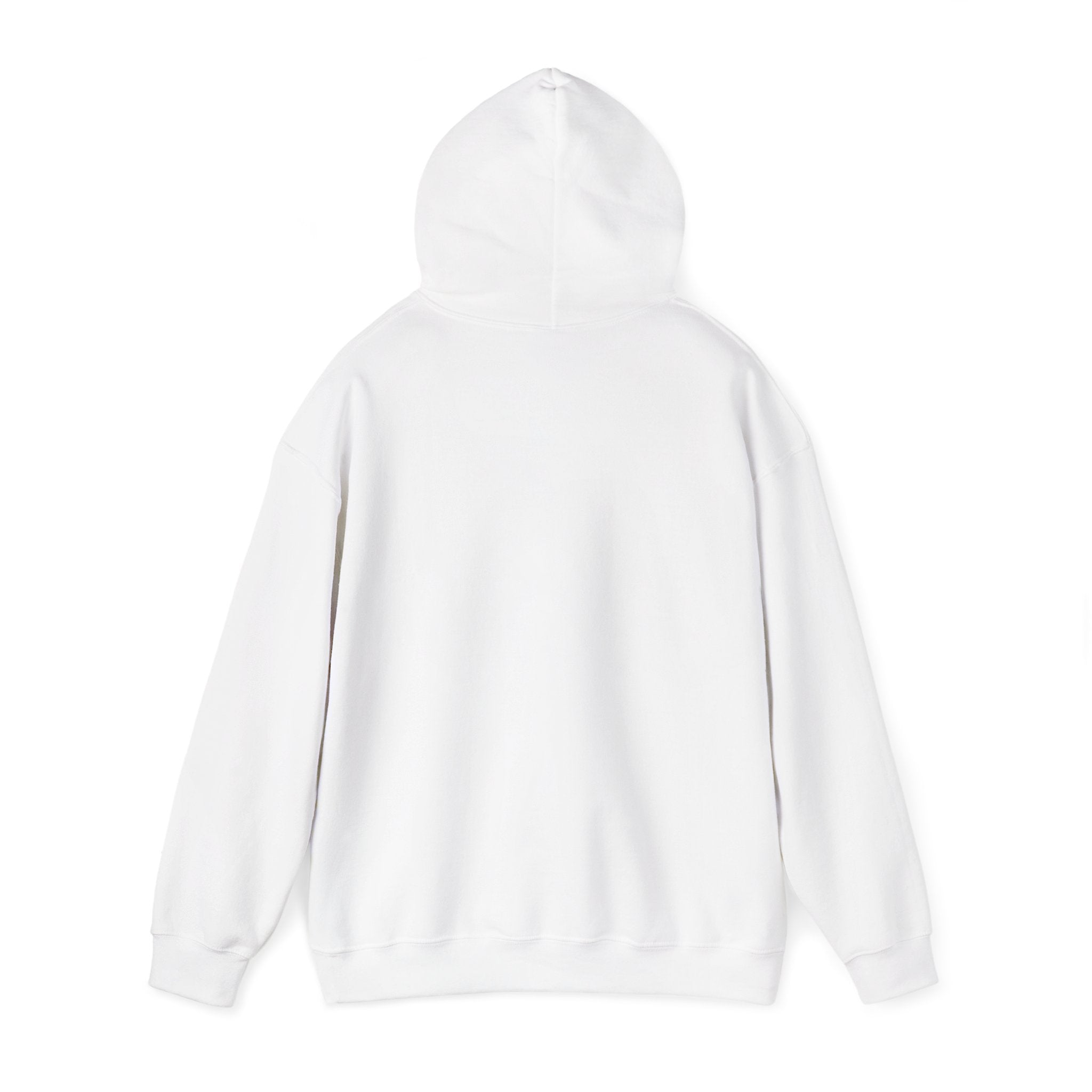 Northern Border Compass Hoodie  Minimal Adventure Pullover